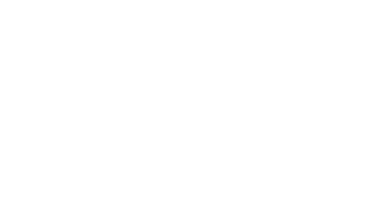 Inducción Web